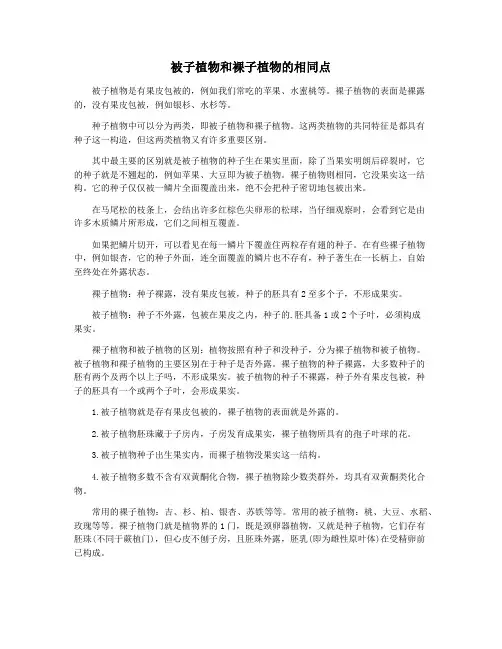被子植物和裸子植物的相同点