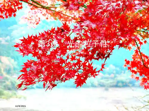 高考物理一轮复习第十五章光学第3讲光的粒子性课件