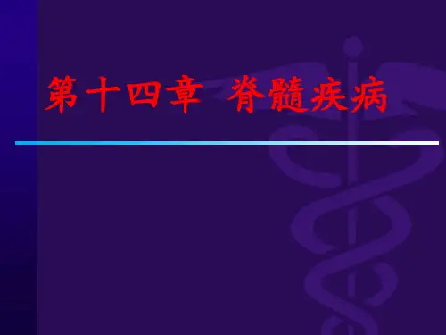 脊髓疾病ppt课件