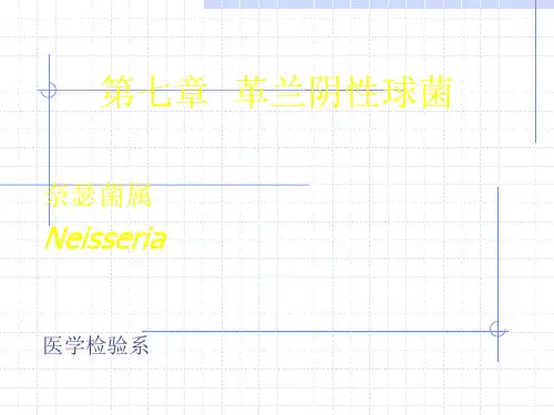 革兰氏阴性球菌.ppt课件