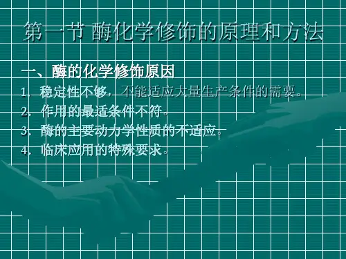 酶分子修饰和改造