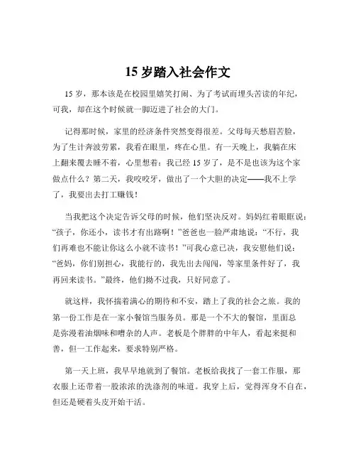 15岁踏入社会作文
