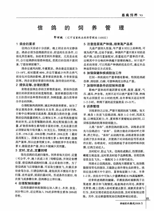 信鸽的饲养管理