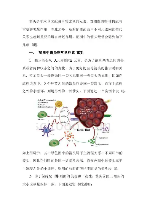 绘制学术论文配图需要注意的细节——箭头篇
