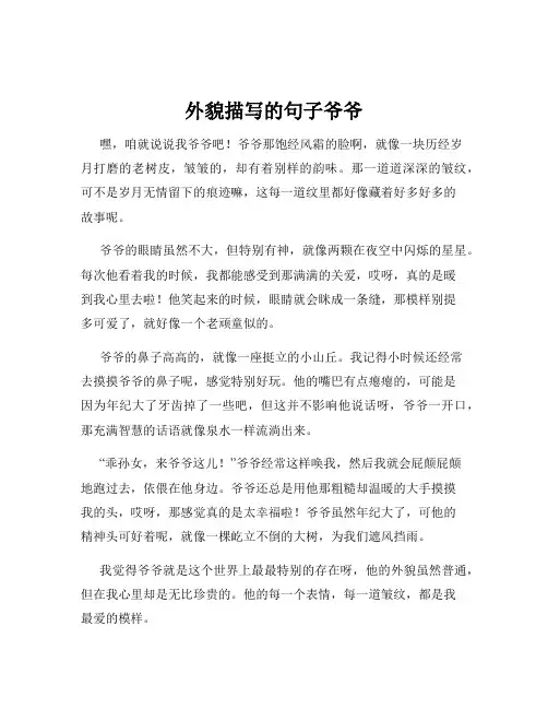 外貌描写的句子爷爷
