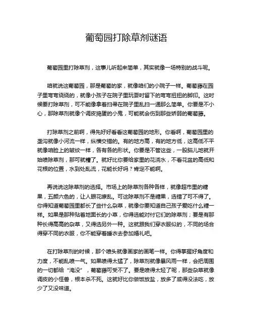 葡萄园打除草剂谜语