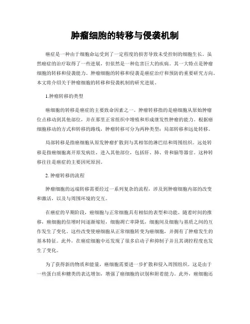 肿瘤细胞的转移与侵袭机制