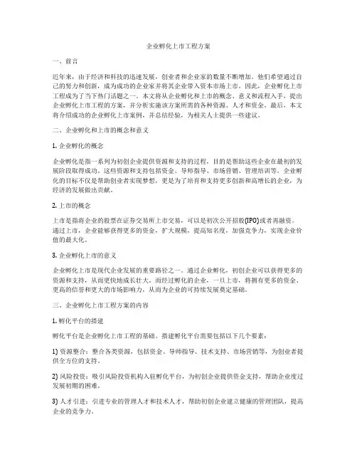 企业孵化上市工程方案
