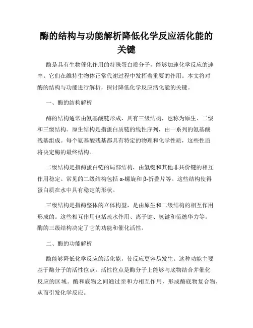 酶的结构与功能解析降低化学反应活化能的关键