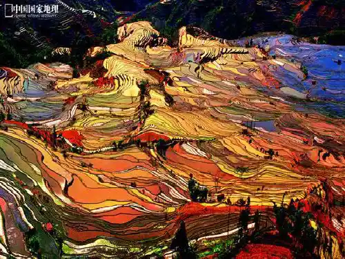 哈尼梯田