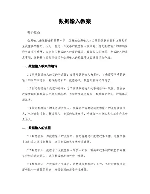 数据输入教案