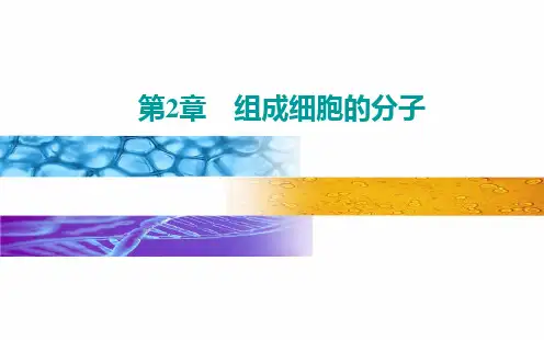 《细胞中的无机物》人教版高中生物1
