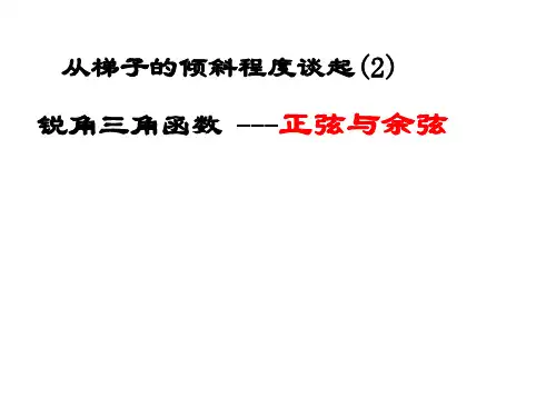 北师大版九年级数学下册锐角三角函数ppt演讲教学2