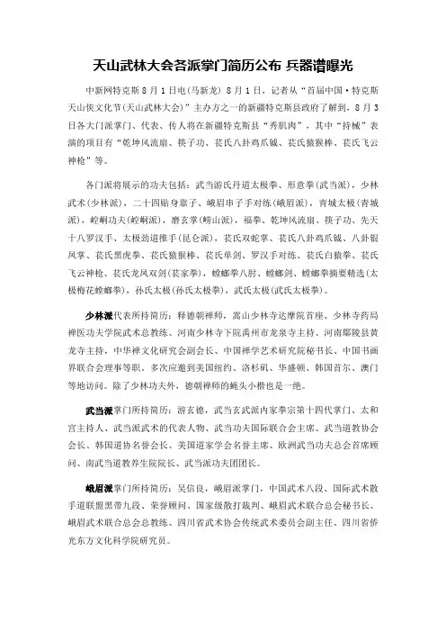 天山武林大会各派掌门简介