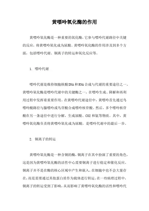 黄嘌呤氧化酶的作用