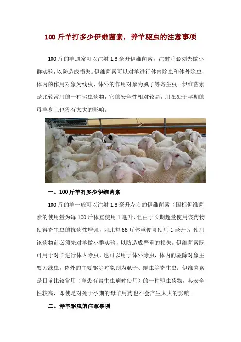 100斤羊打多少伊维菌素,养羊驱虫的注意事项