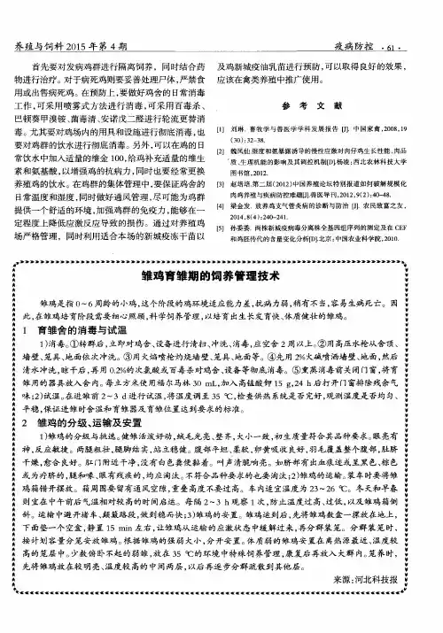 雏鸡育雏期的饲养管理技术