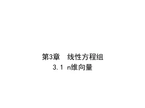 第一讲线性代数