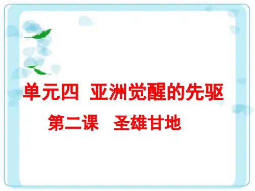 高中历史PPT课件高三复习圣雄甘地