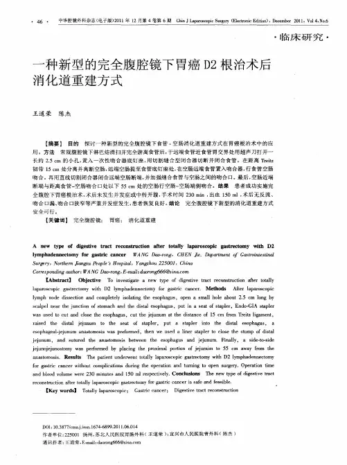 一种新型的完全腹腔镜下胃癌D2根治术后消化道重建方式