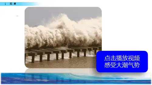 人教部编版四年级语文上册《观潮》ppt课件
