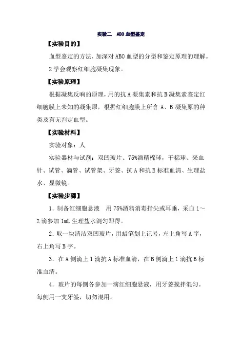医学影像技术《实验三  ABO血型鉴定》