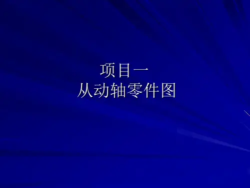 项目一识读圆柱齿轮减速器从动轴零件图汇总