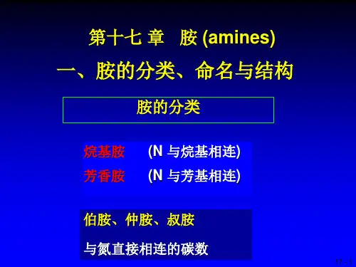 第十七章 胺