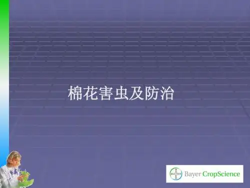 棉花病虫草害及防治
