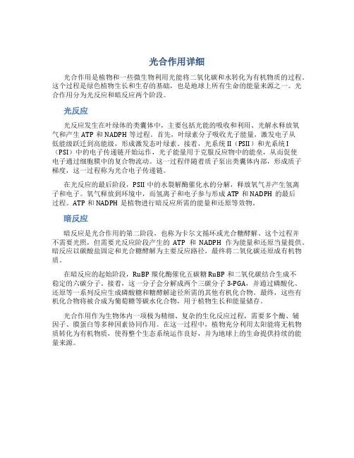 光合作用详细