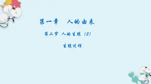 人教版七年级下册生物 第一章第二节 人的生殖 第2课时 生殖过程 课件