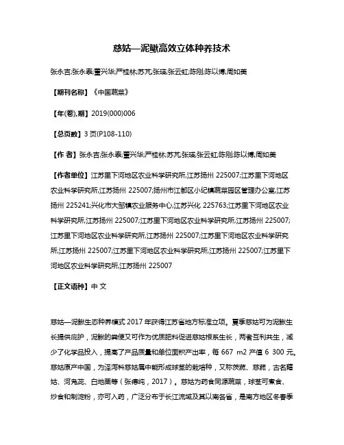 慈姑—泥鳅高效立体种养技术
