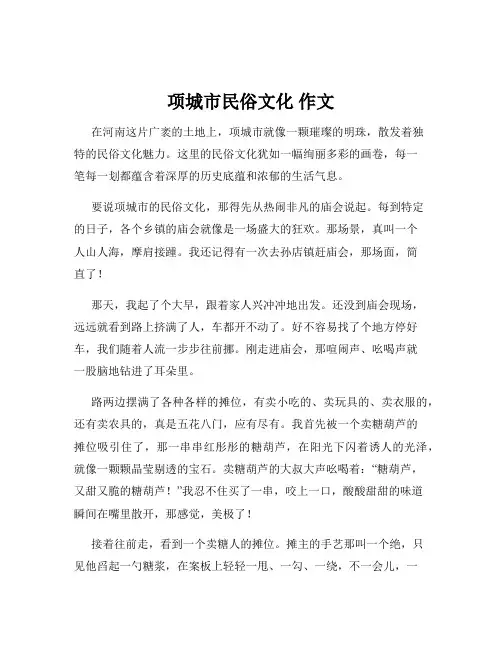 项城市民俗文化 作文