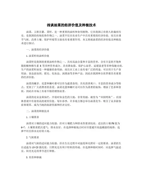 浅谈油菜的经济价值及种植技术
