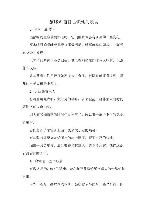 猫咪知道自己快死的表现