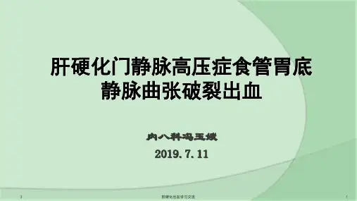 肝硬化出血PPT课件