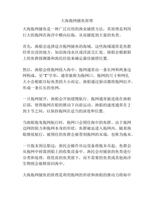大海拖网捕鱼原理