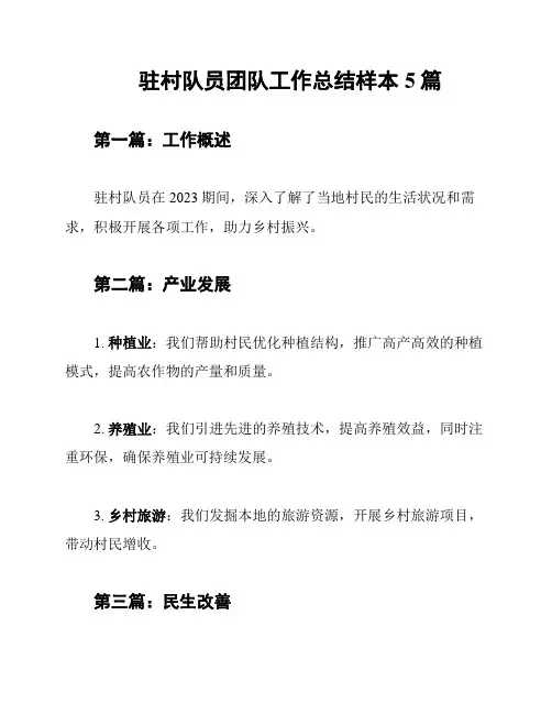 驻村队员团队工作总结样本5篇