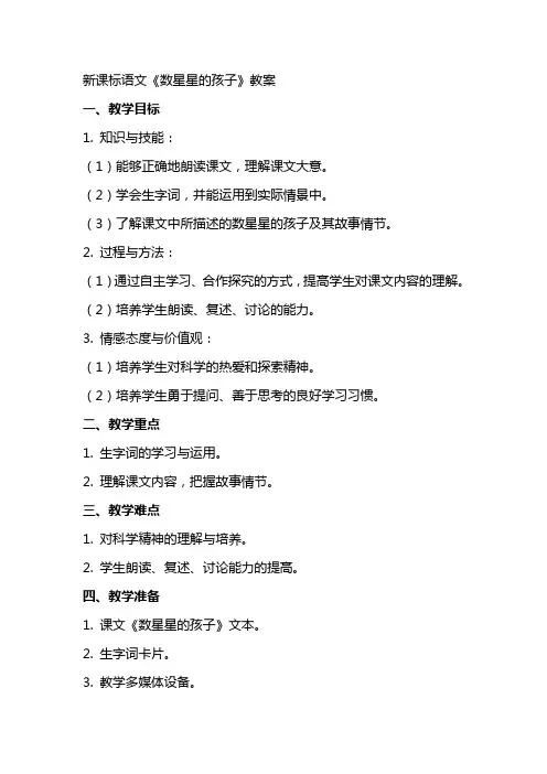 新课标语文数星星的孩子教案