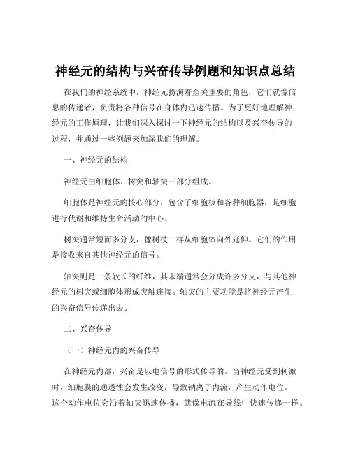 神经元的结构与兴奋传导例题和知识点总结