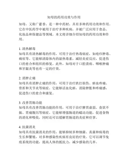 知母的药用功效与作用