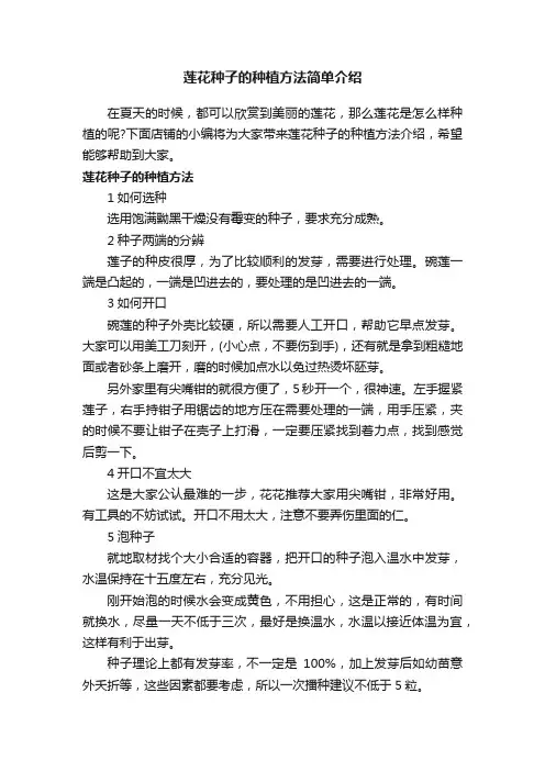 莲花种子的种植方法简单介绍
