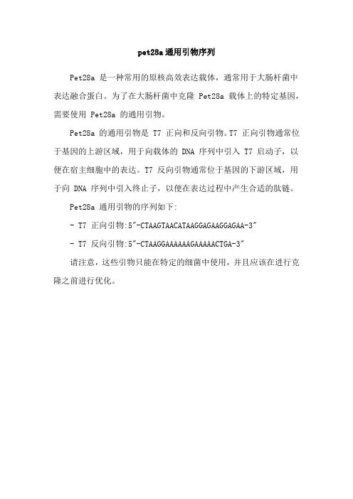 pet28a通用引物序列