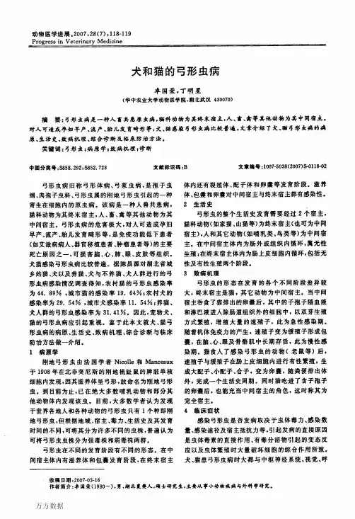 犬和猫的弓形虫病