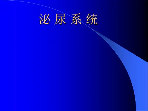 医学影像诊断学：泌 尿 系 统