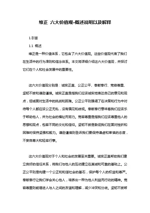 维正 六大价值观-概述说明以及解释