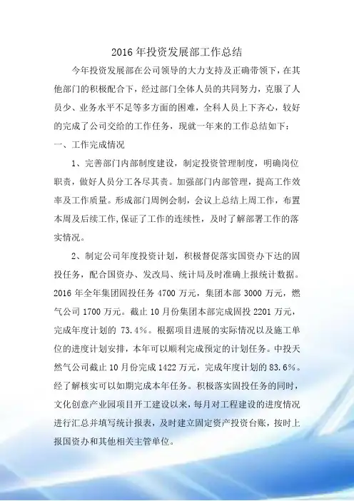2016年投资发展部工作总结