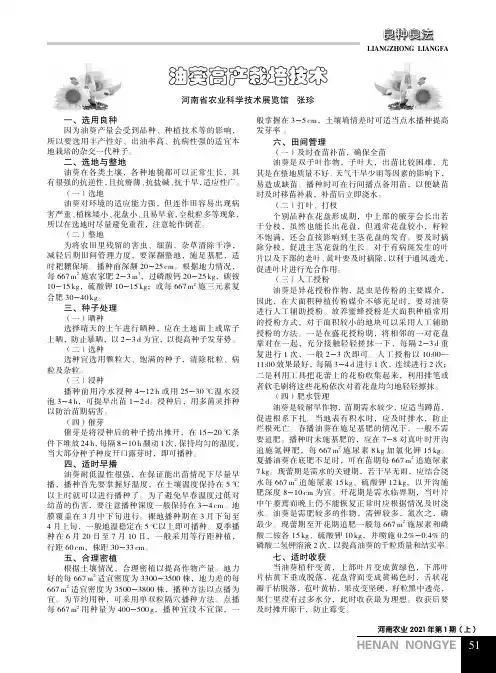 油葵高产栽培技术