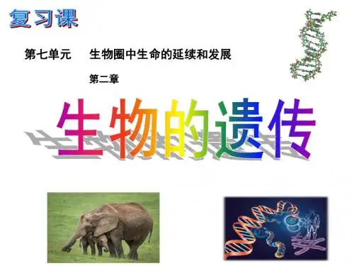 生物的遗传和变异课件(31张PPT)