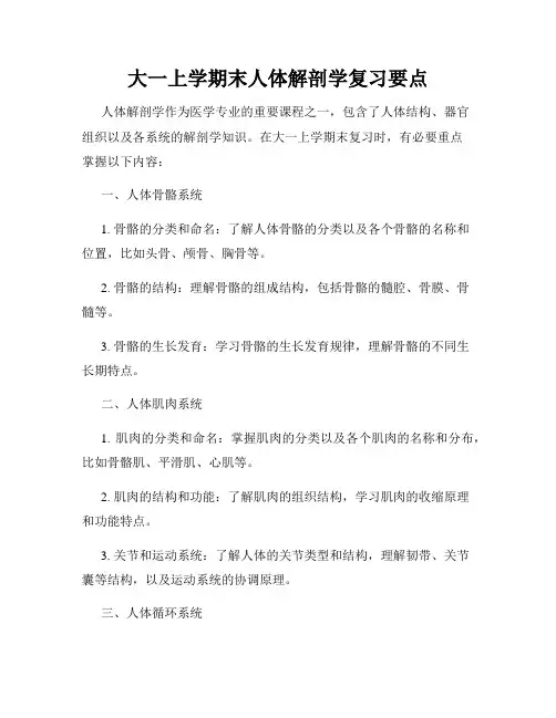 大一上学期末人体解剖学复习要点